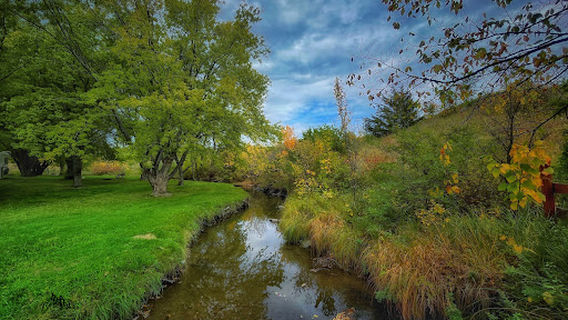 Clausen Springs Recreation