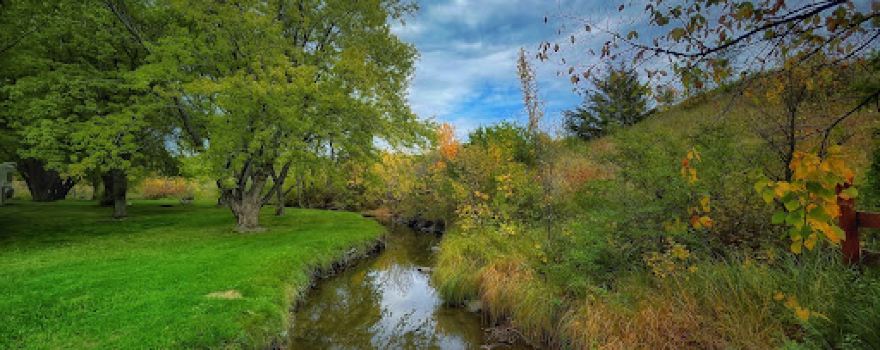 Clausen Springs Recreation