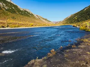 Nenana River