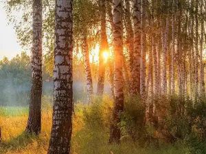 Park Kul'tury I Otdykha