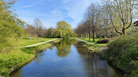 Hoorn