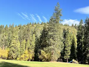 Headwaters Spring
