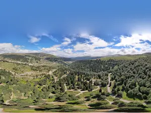 Goderdzi Alpine Garden