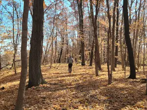 Chinkapin Bluffs Recreation Area