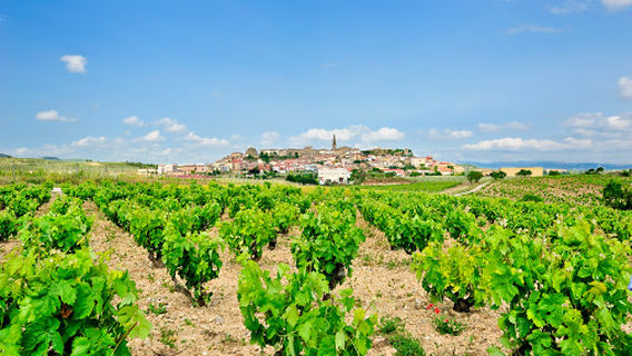 Bodegas Betolaza