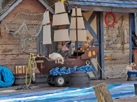 Georgia Renaissance Festival