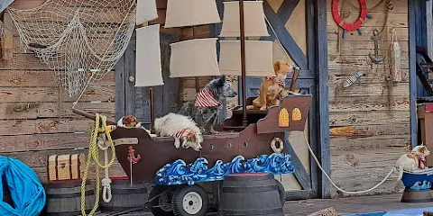 Georgia Renaissance Festival