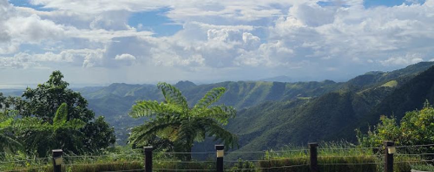 Vista Sur Plantation