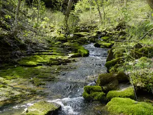 Dry Fork Gorge