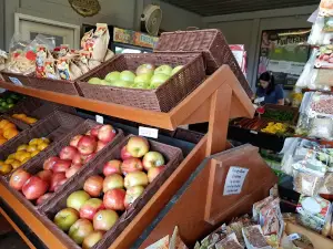 Patterson Farm Market & Tours Inc