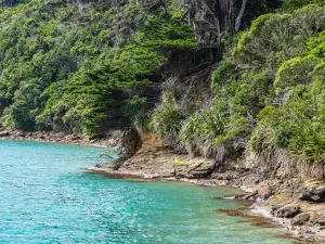 Motuara Island