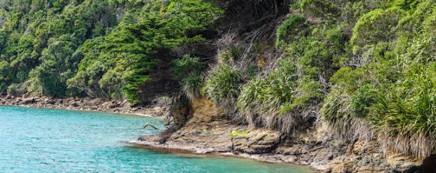 Motuara Island