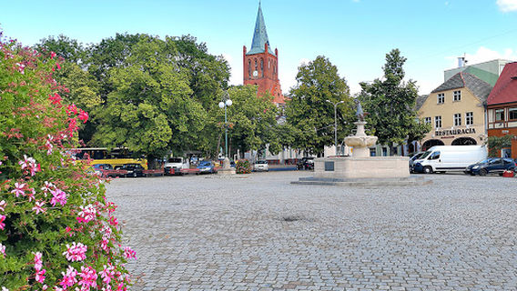 Rynek