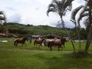 Camping la Palmera