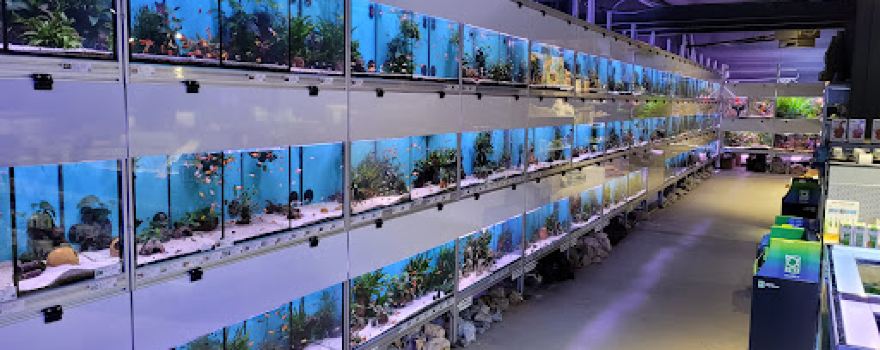 Aquarium Center East, Munich
