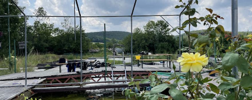 Mylake scufundări & scuba diving