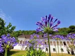 Mănăstirea Surpatele