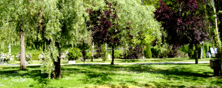 CAMPING "La Côte d'Oust"