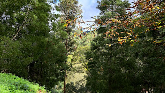 Parque do Barranco dos Pisoes