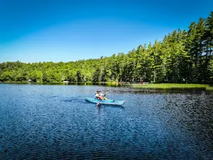 Brown Tract Pond Campground