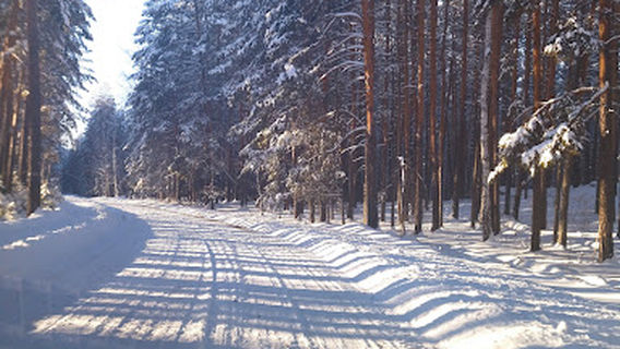 Zagorodnyy Kompleks Otdykha "Karagayskiy"