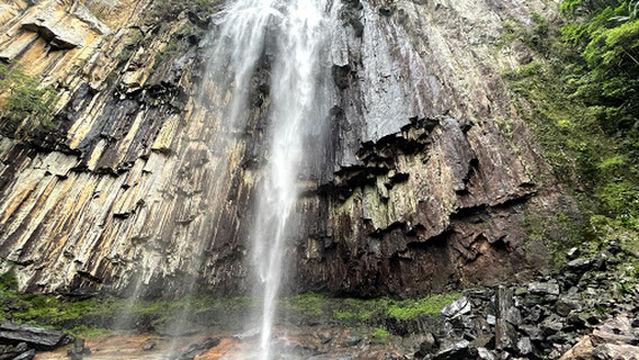 Nightcap National Park