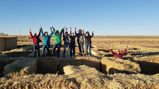 Green Acres Corn Maze