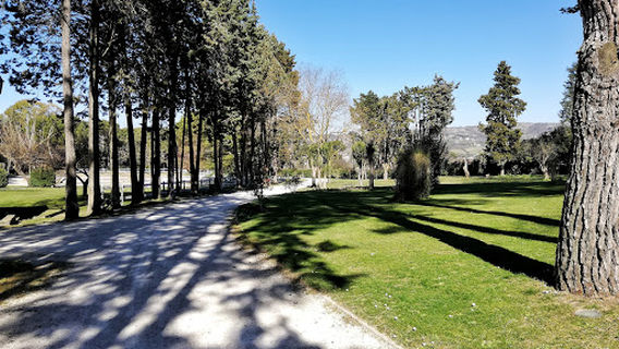 Villa York