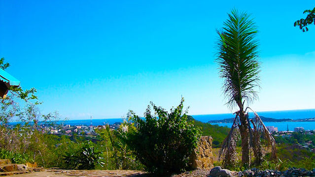 Notre Dame Du Pacifique