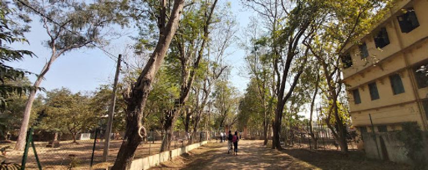 Visva-Bharati Playground