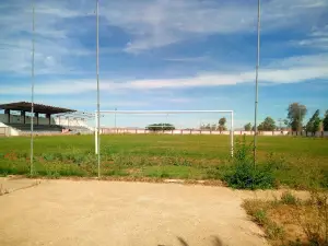 Municipal Stadium Fernando V