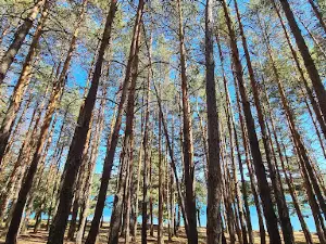 Club Náutico El Rasillo (Actividades Deportivas)