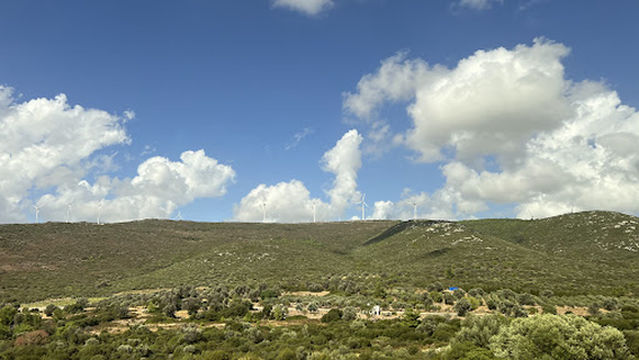 Uzun Kuyu Mesire Yeri