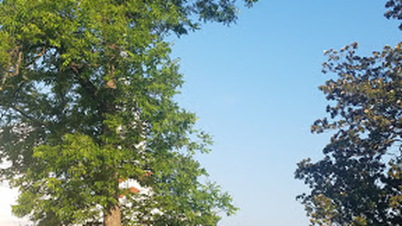 Peterson Park