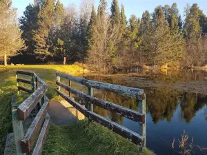 Robbins Pond Campground