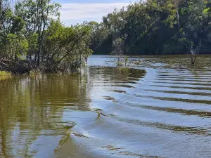 The MondyMan Lake Monduran Fishing Charters