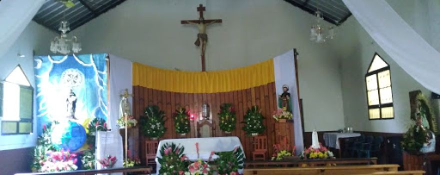 Parroquia Santo Domingo De Guzman