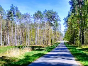 Rezerwat przyrody Jezioro Obradowskie