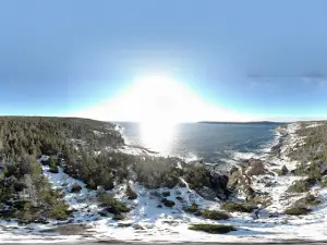 East Coast Trail: Mickeleens Path