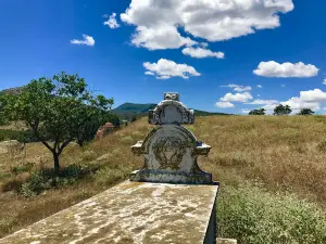 Archaeological Site of Pherae