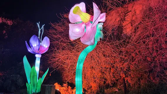 Magical Garden Aladdin Sintra