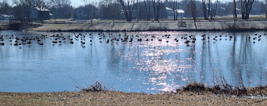 Lerner Conservation Park