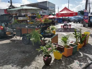 Praça de Jardim Paulista