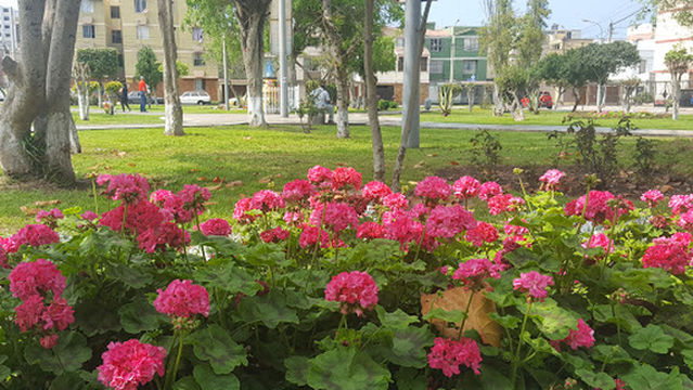 Santa Florencia Park