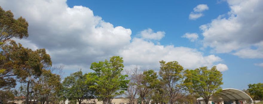 Ryugaoka Park