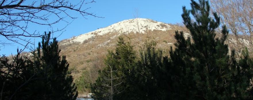 Zagradski Vrh