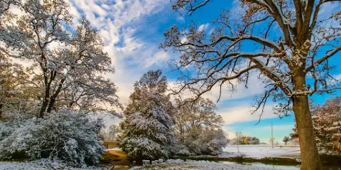 Texas A&M University Research Park