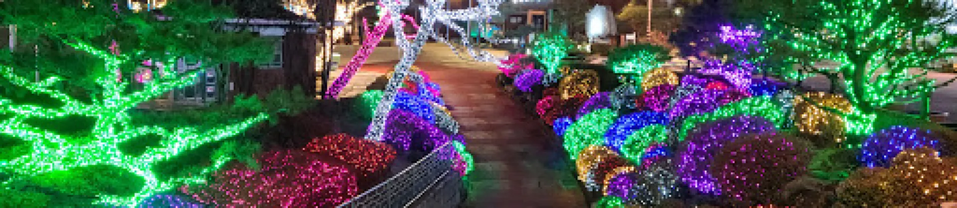 Attrazioni del Giro Notturno