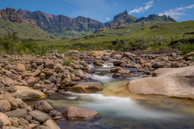 Hippo Pools