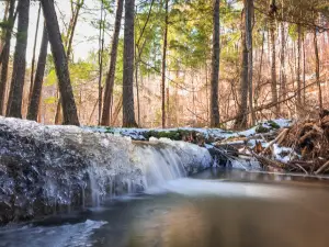 ザ・ケントヴィル・ラヴィーン